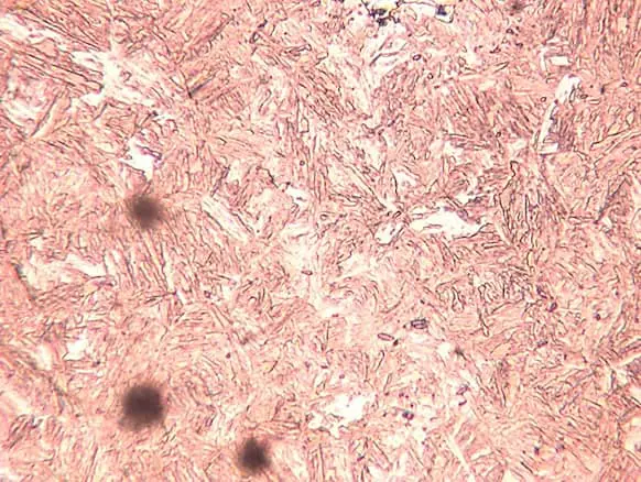 Brine qunched sample