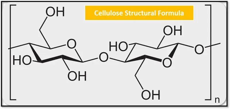 Cellulose Structure