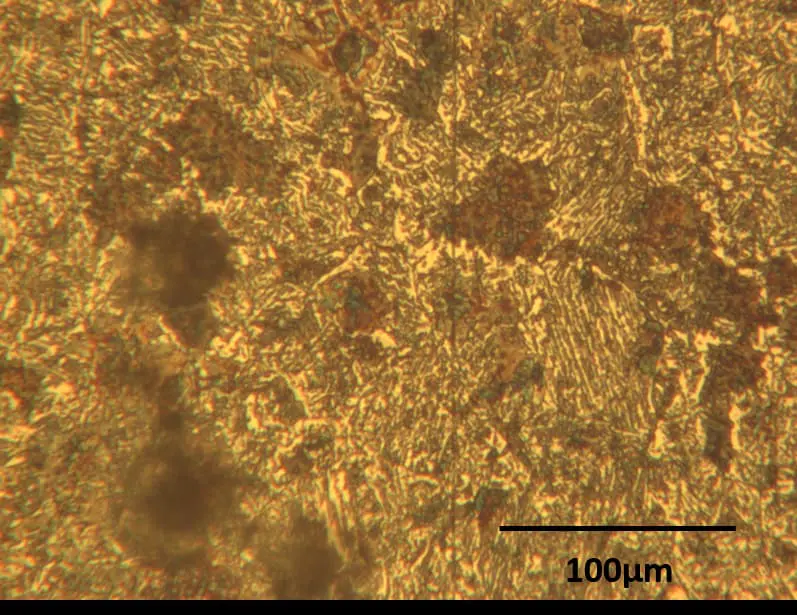 Microstructure of Widmanstatten Structure in steel