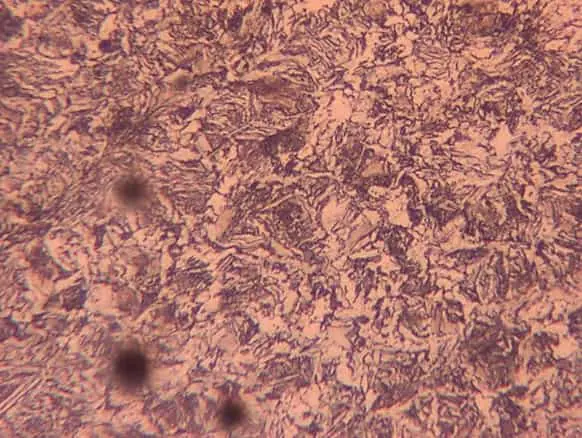 Oil quneched sample