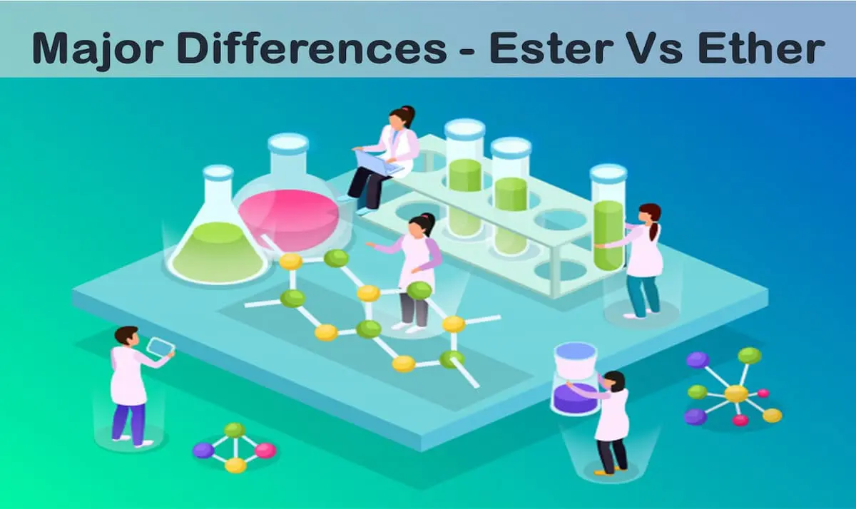 1- Ester Vs Ether - Major Differences - Materials Today