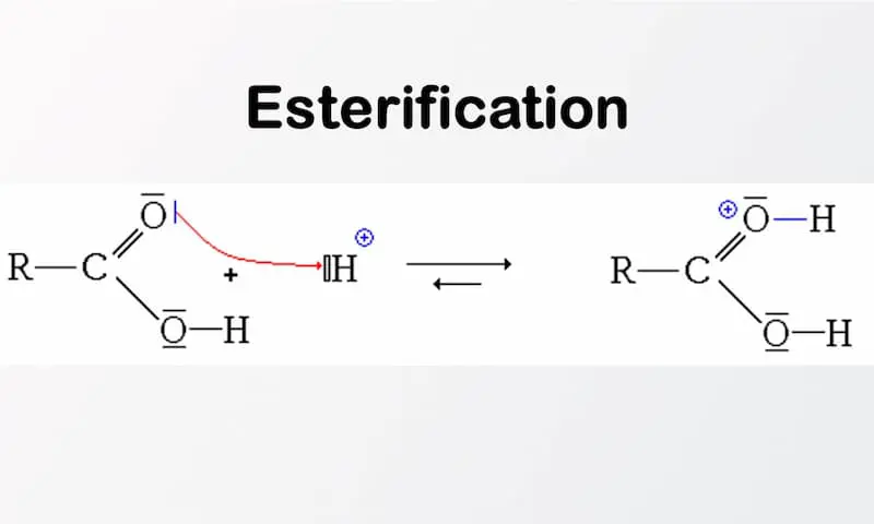2- Esterification - Ester Vs ether